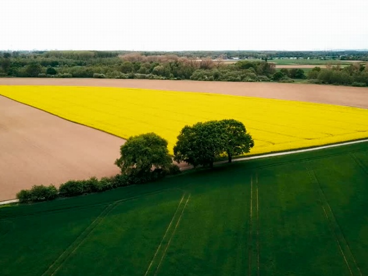 Od 1 czerwca, w ARiMR ruszają kolejne nabory wniosków